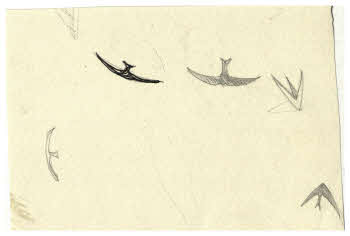 Visualizza l'immagine "FD D 374"